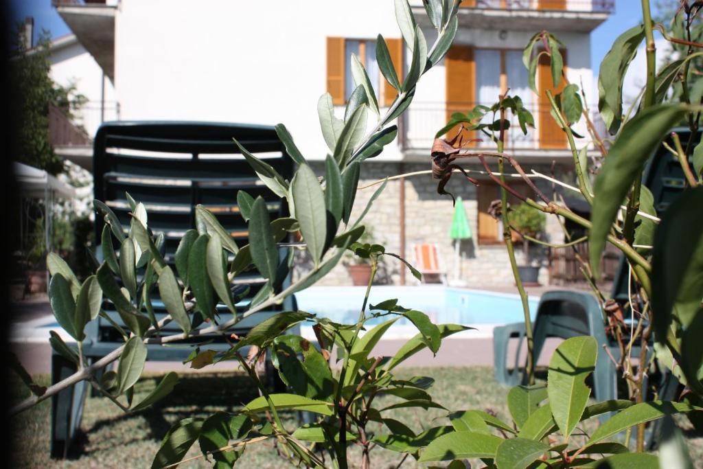 Belvedere Passignano sul Trasimeno